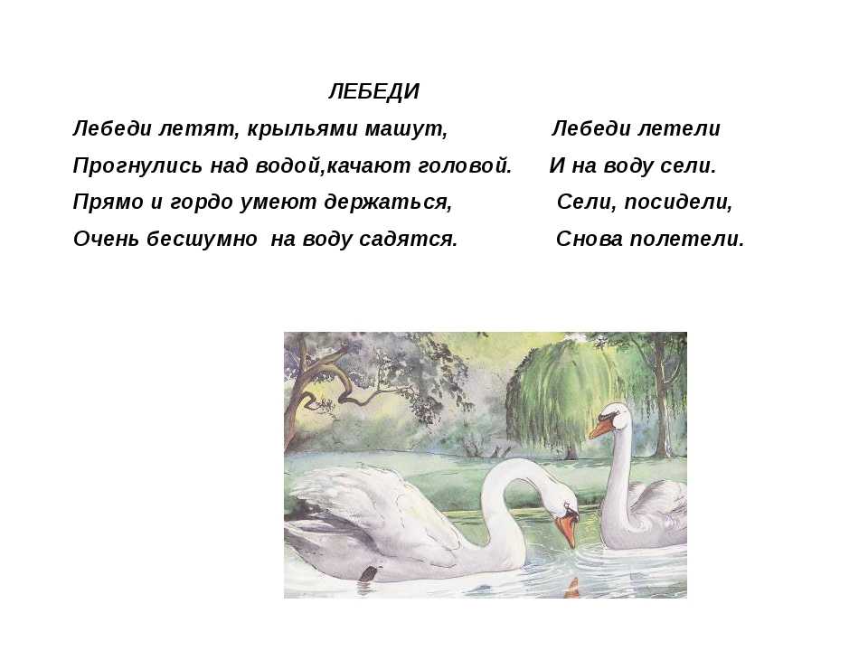 Стихи про лебедей  короткие четверостишия про лебедей для детей